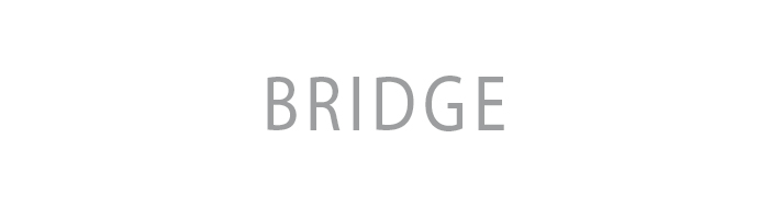 National projects: BRIDGE